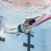 Picture of Enganche de Cabeza Para Postura Finis
