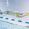 Picture of Monoaleta Finis Evo Talle XL