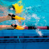 Picture of Patas de Rana Finis Positive Drive Talle M